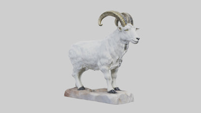 3D model Rocky Mountain Goat statue model VR / AR / low-poly