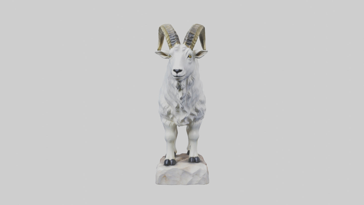 3D model Rocky Mountain Goat statue model VR / AR / low-poly