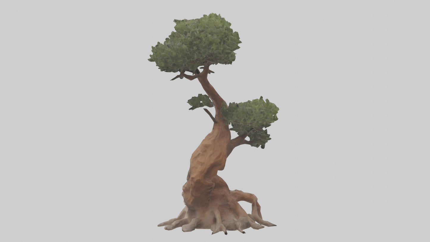 3D model Rocky Mountain Juniper tree model VR / AR / low-poly
