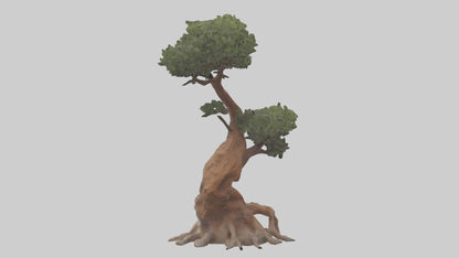 3D model Rocky Mountain Juniper tree model VR / AR / low-poly