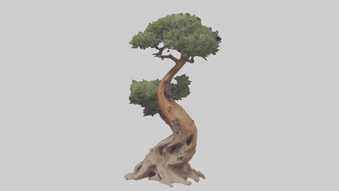 3D model Rocky Mountain Juniper tree model VR / AR / low-poly