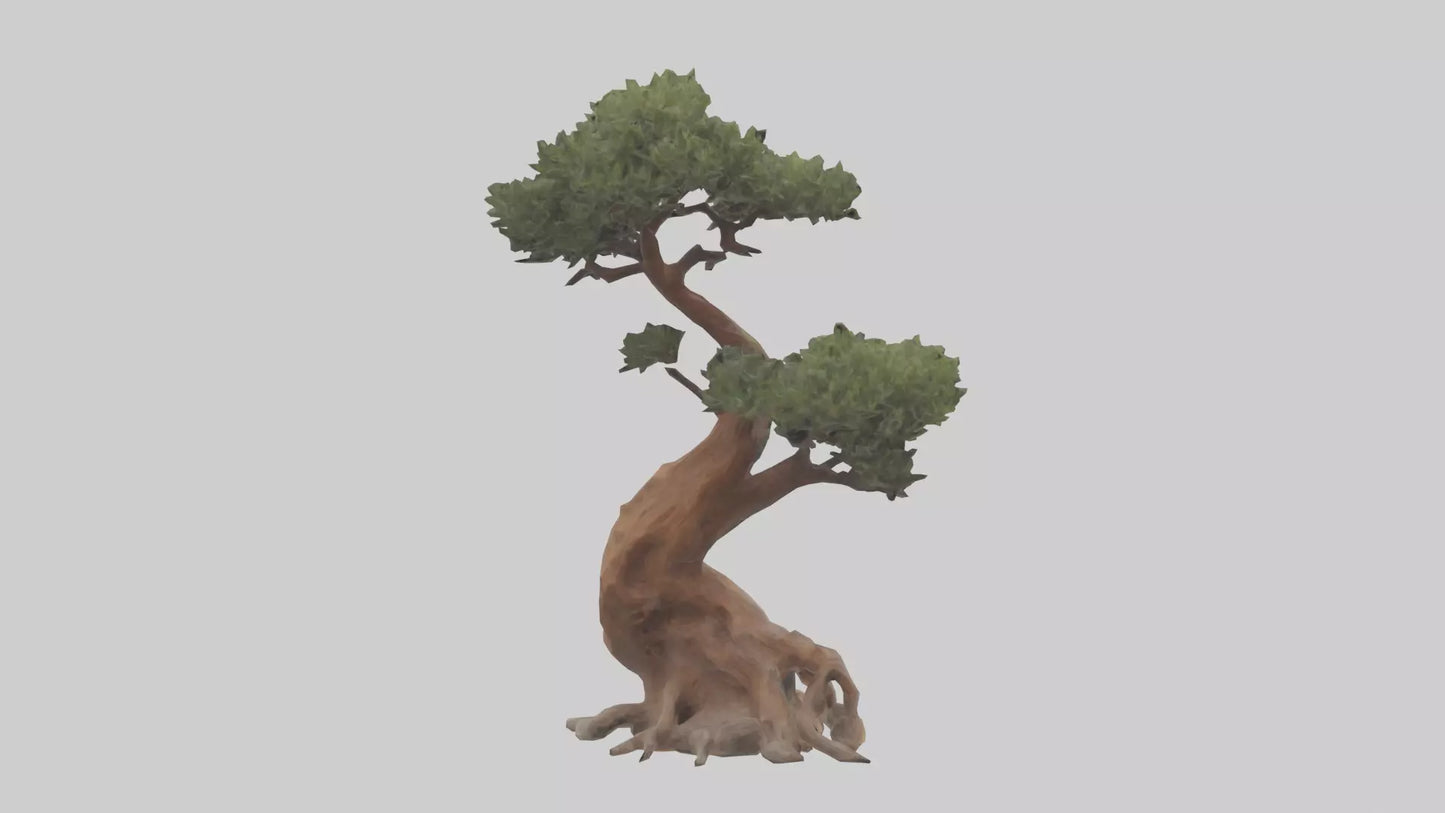 3D model Rocky Mountain Juniper tree model VR / AR / low-poly