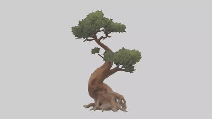 3D model Rocky Mountain Juniper tree model VR / AR / low-poly