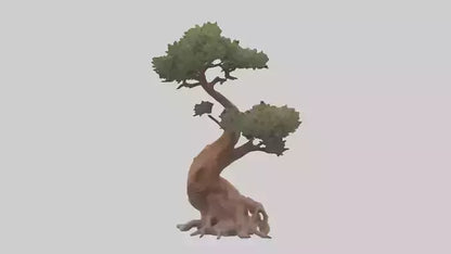 3D model Rocky Mountain Juniper tree model VR / AR / low-poly