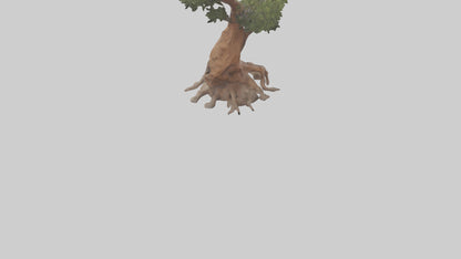 3D model Rocky Mountain Juniper tree model VR / AR / low-poly