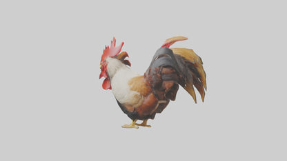 3D model Rooster Comb Model VR / AR / low-poly