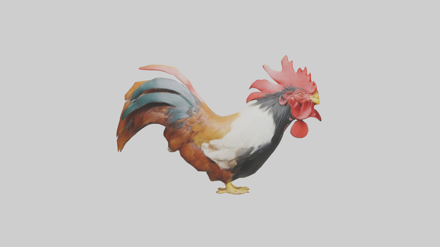 3D model Rooster Comb Model VR / AR / low-poly