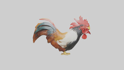 3D model Rooster Comb Model VR / AR / low-poly