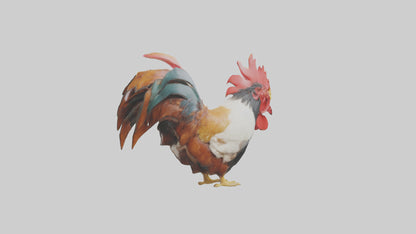 3D model Rooster Comb Model VR / AR / low-poly