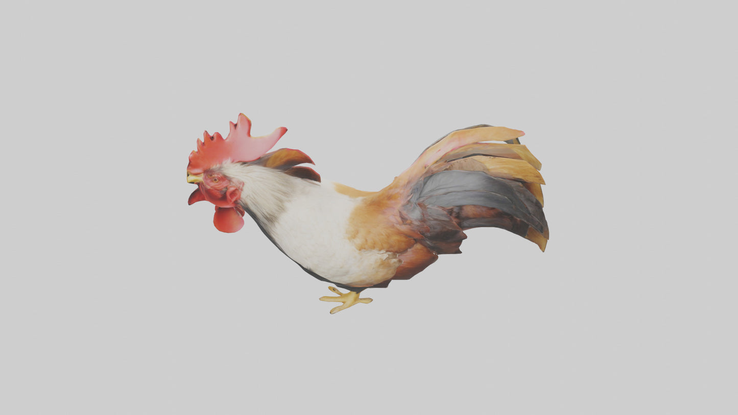 3D model Rooster Comb Model VR / AR / low-poly