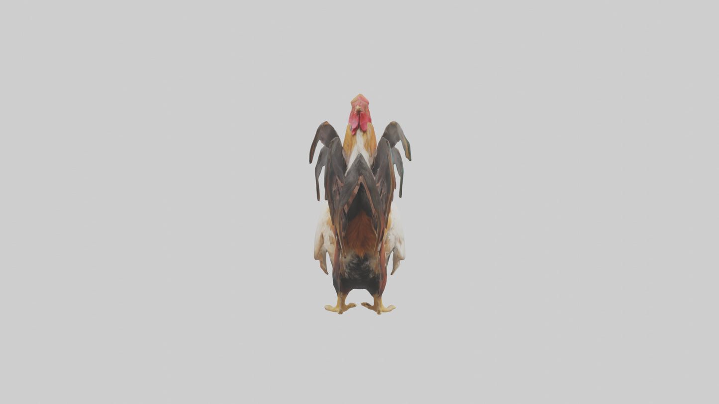 3D model Rooster Comb Model VR / AR / low-poly