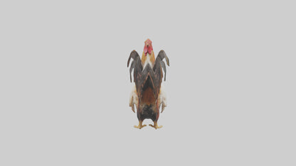 3D model Rooster Comb Model VR / AR / low-poly