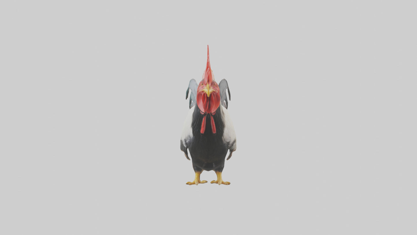 3D model Rooster Comb Model VR / AR / low-poly