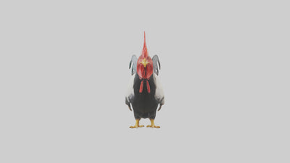 3D model Rooster Comb Model VR / AR / low-poly