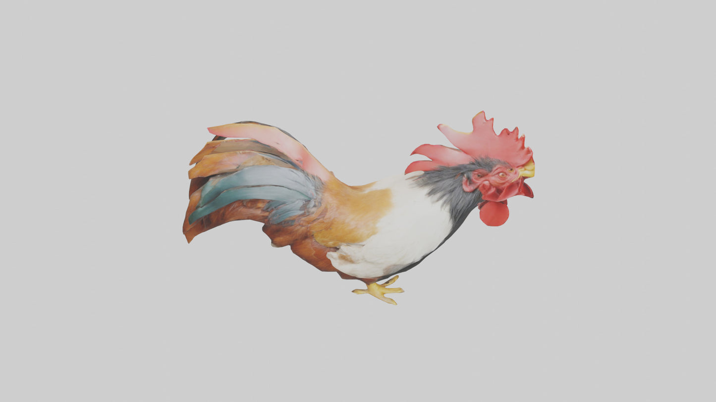 3D model Rooster Comb Model VR / AR / low-poly