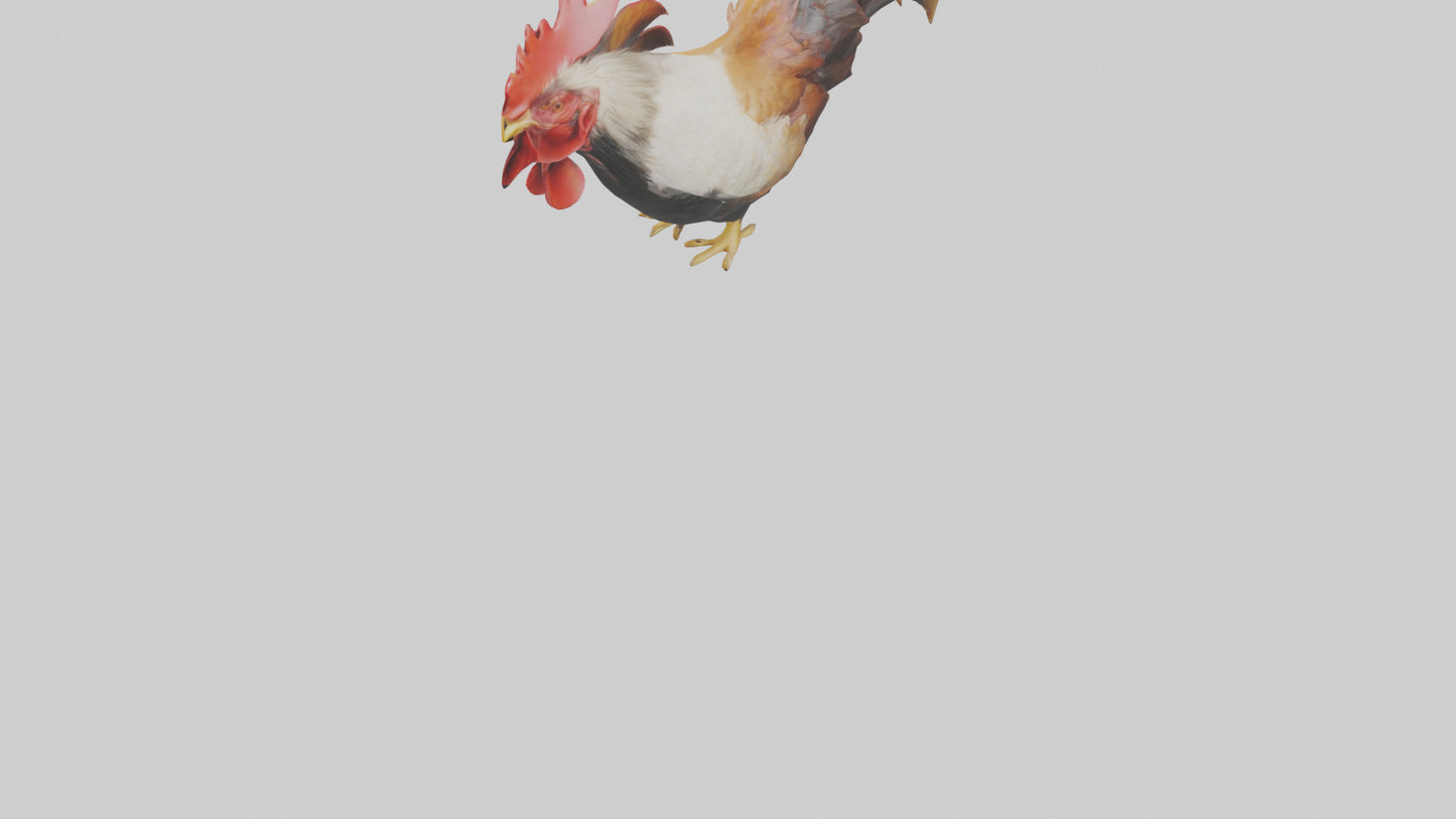 3D model Rooster Comb Model VR / AR / low-poly