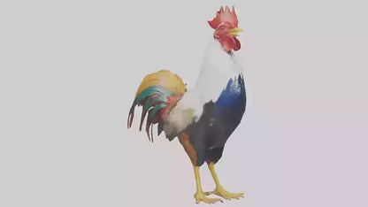 Rooster crowing model VR / AR / low-poly