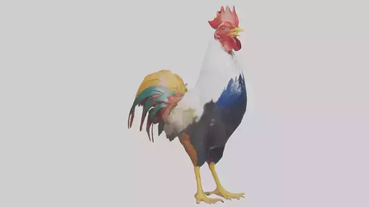Rooster crowing model VR / AR / low-poly