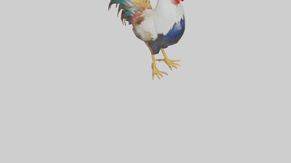 Rooster crowing model VR / AR / low-poly