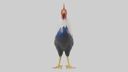 Rooster crowing model VR / AR / low-poly