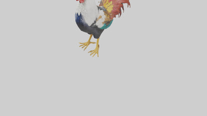 Rooster crowing model VR / AR / low-poly