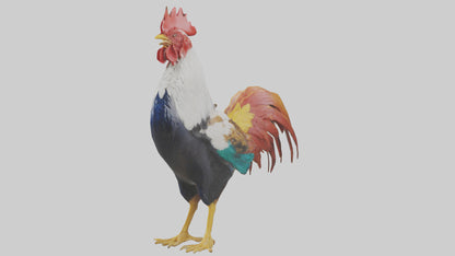 Rooster crowing model VR / AR / low-poly