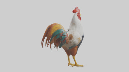 Rooster crowing model VR / AR / low-poly