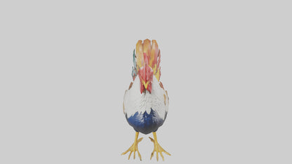 Rooster crowing model VR / AR / low-poly