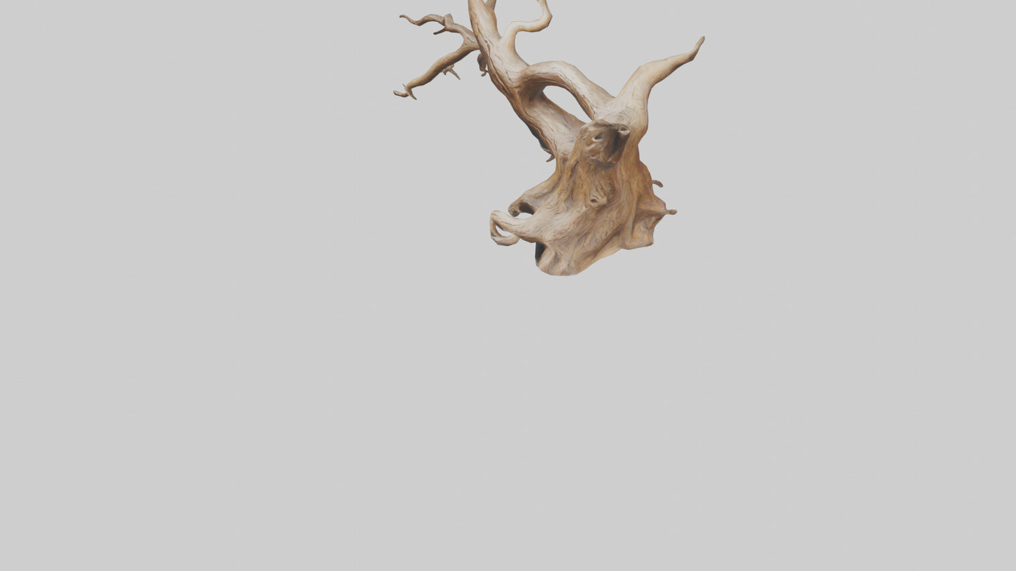 Root Tree Branch Sculpture model 3D model