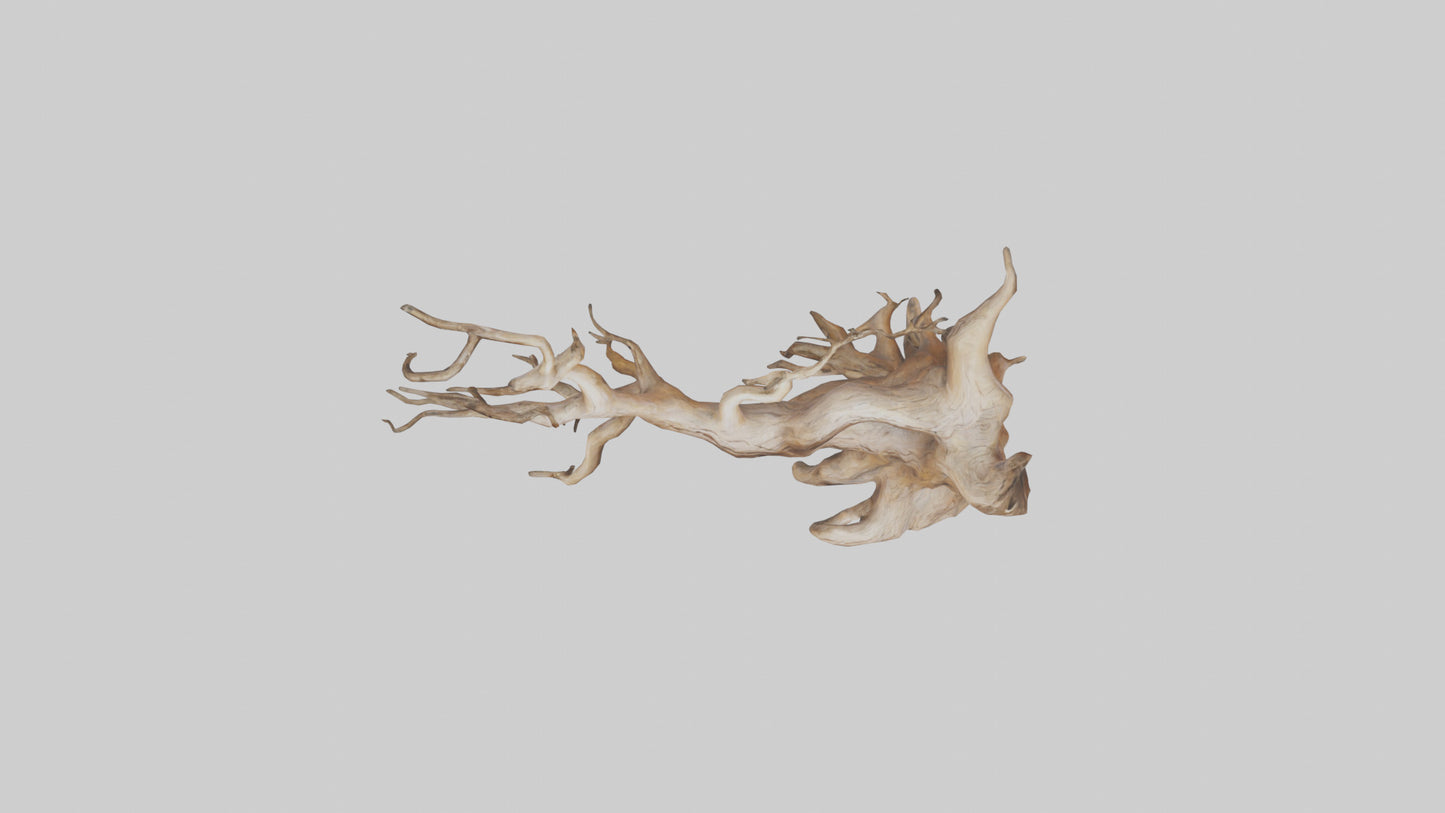 Root Tree Branch Sculpture model 3D model