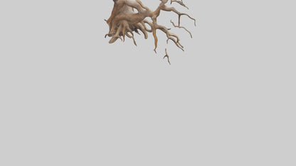 Root Tree Branch Sculpture model 3D model