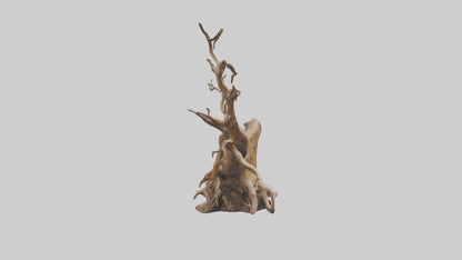 Root Tree Branch Sculpture model 3D model