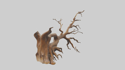 Root Tree Branch Sculpture model 3D model
