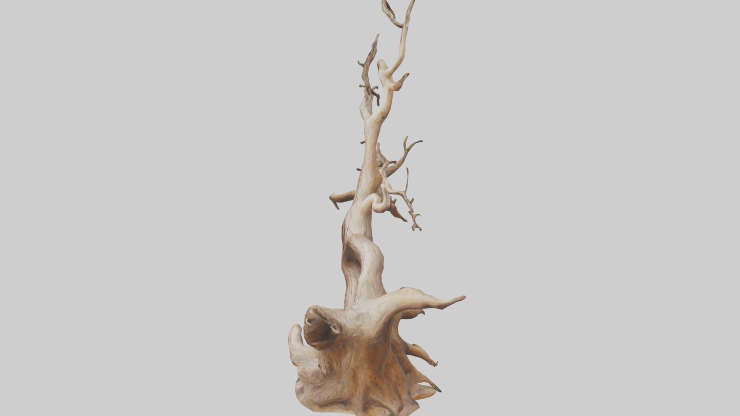 Root Tree Branch Sculpture model 3D model