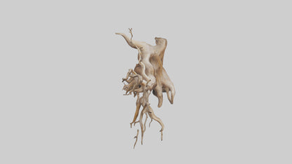 Root Tree Branch Sculpture model 3D model