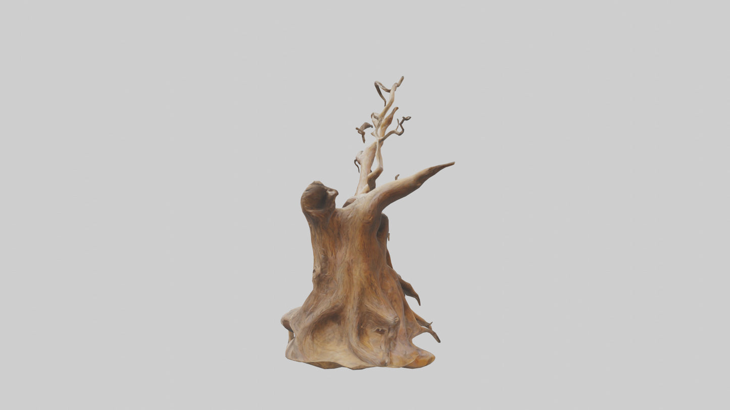 Root Tree Branch Sculpture model 3D model