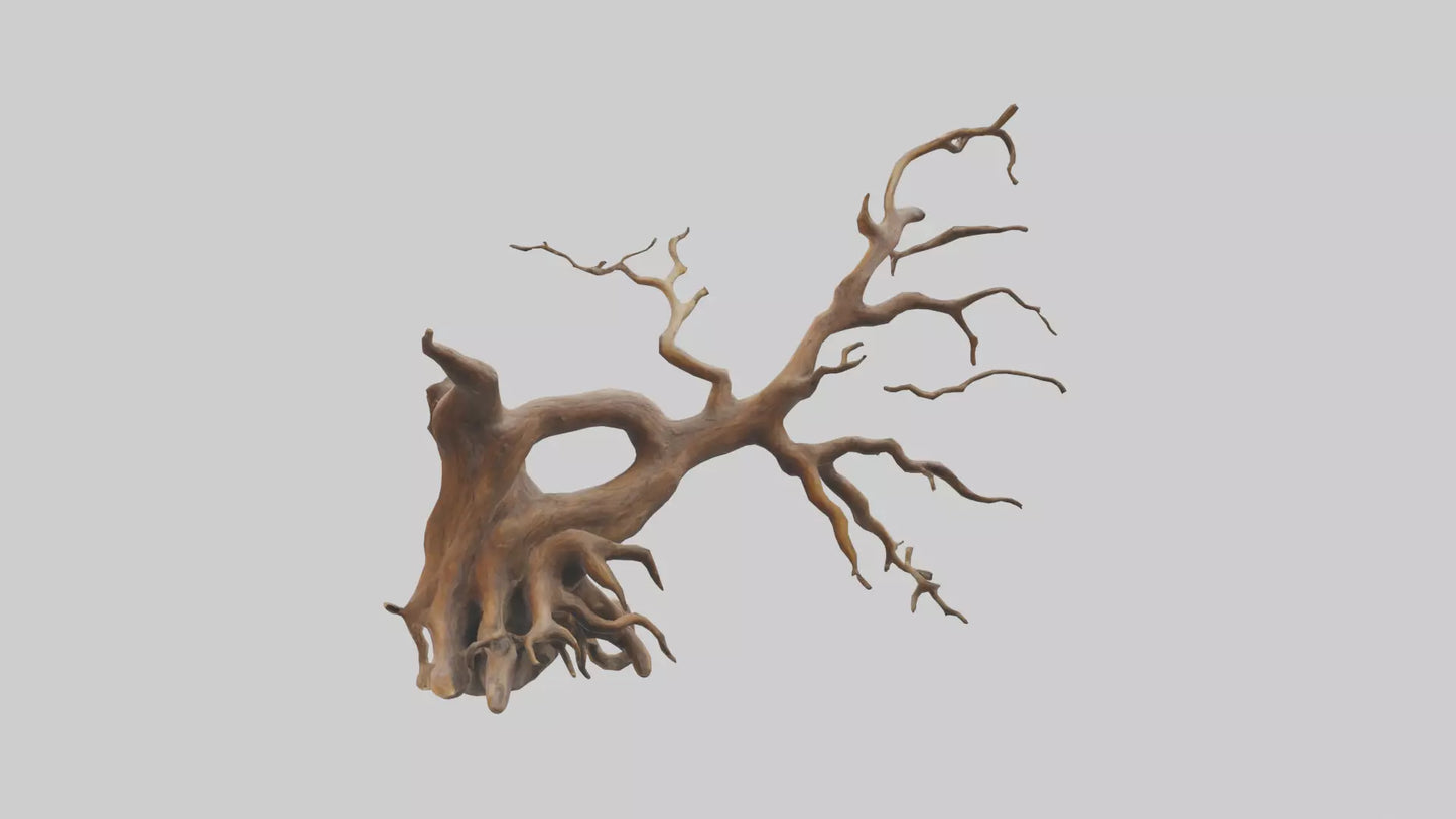 Root Tree Branch Sculpture model 3D model