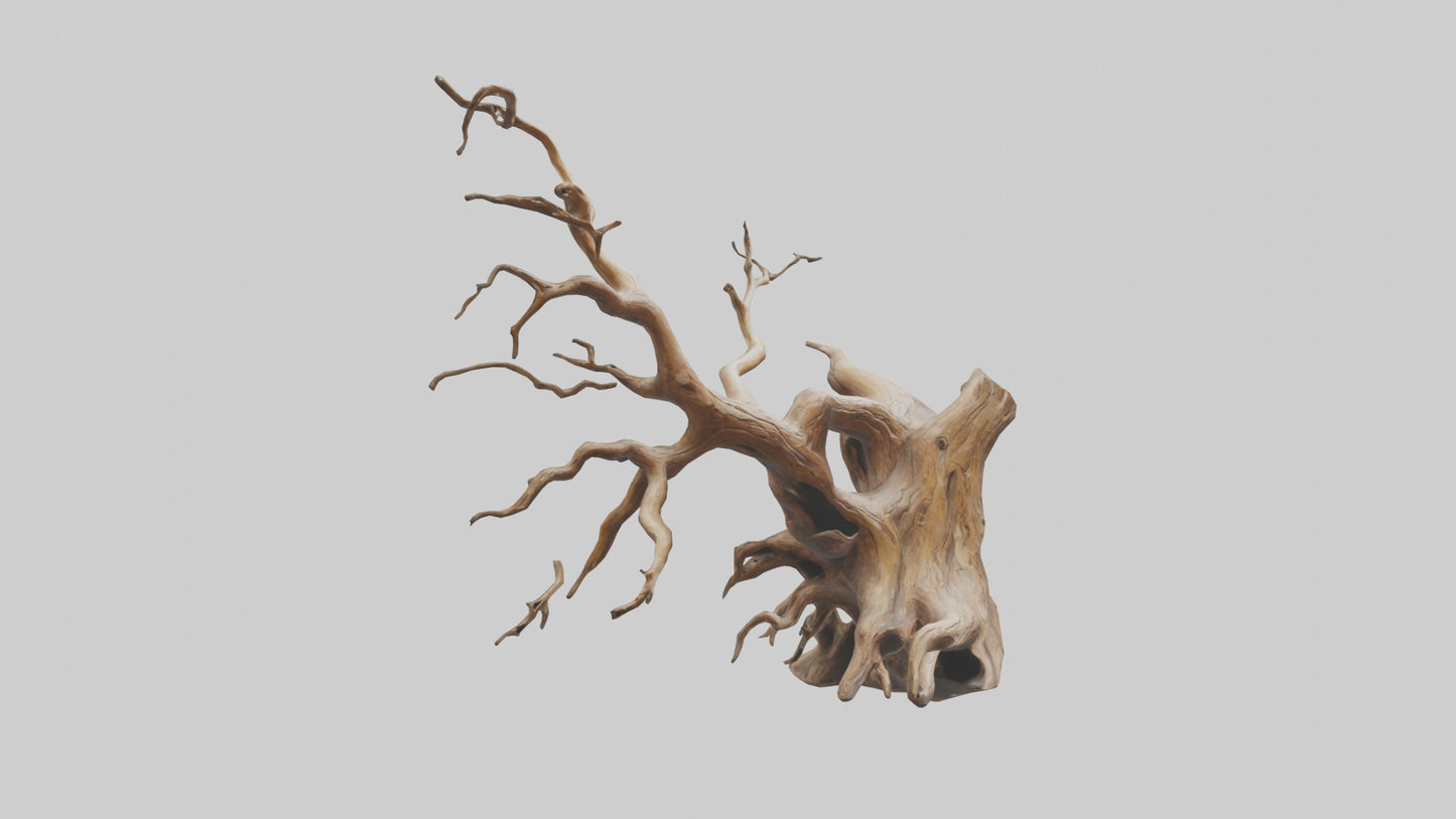 Root Tree Branch Sculpture model 3D model