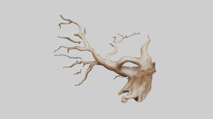 Root Tree Branch Sculpture model 3D model