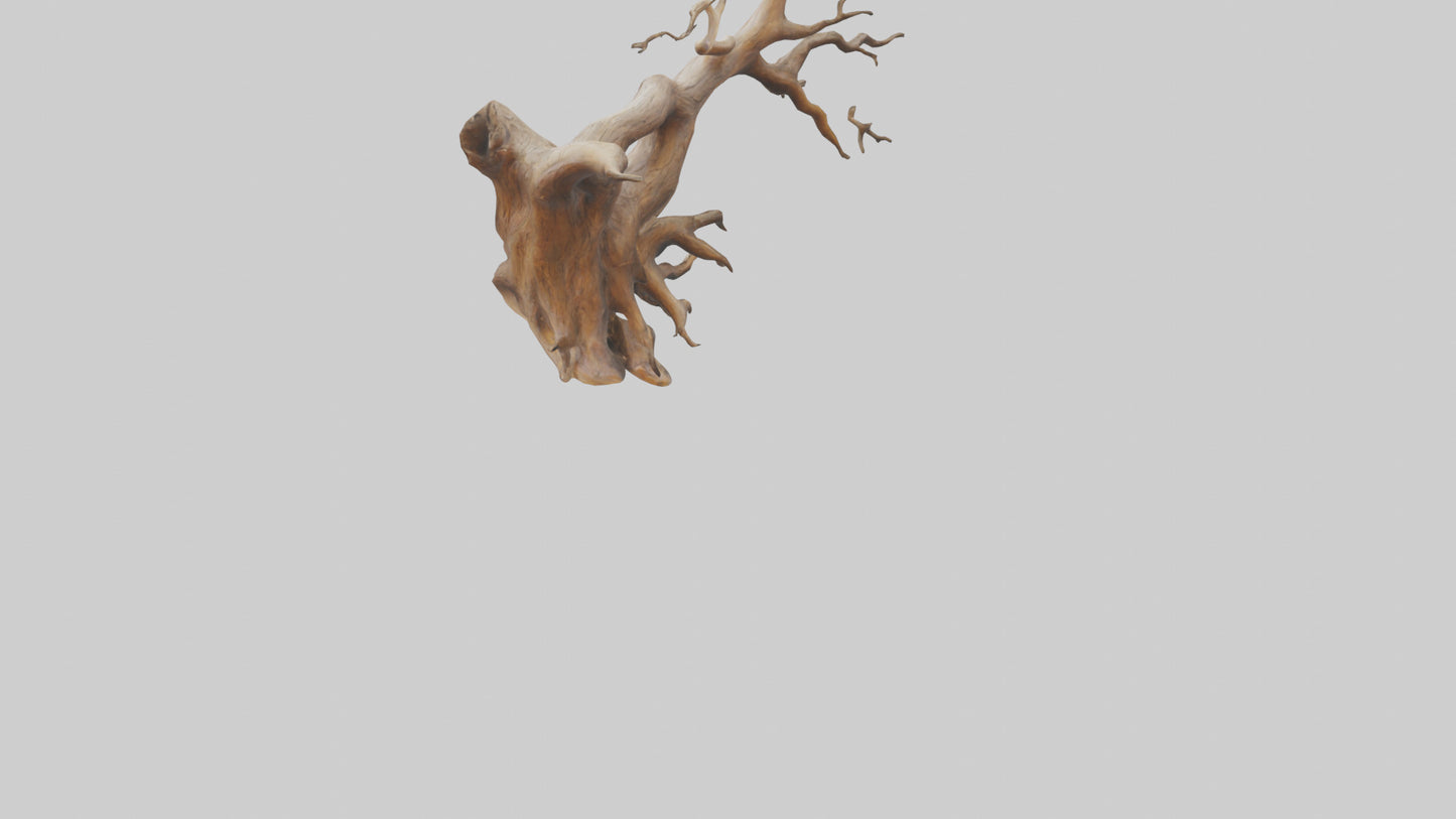 Root Tree Branch Sculpture model 3D model