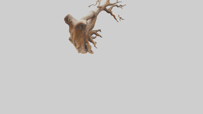 Root Tree Branch Sculpture model 3D model