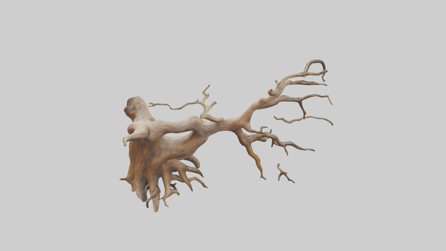 Root Tree Branch Sculpture model 3D model