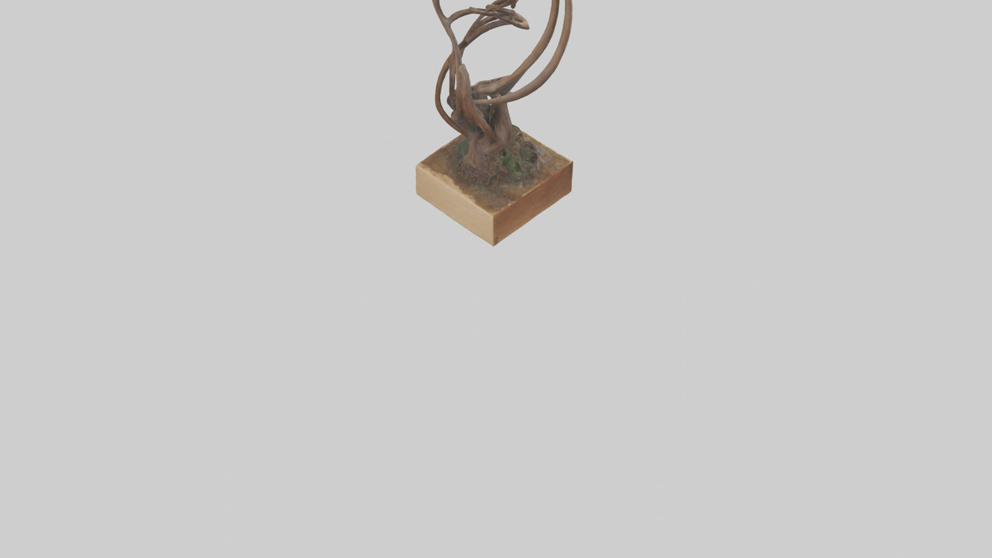 3D model Rooted Flow sculpture model VR / AR / low-poly