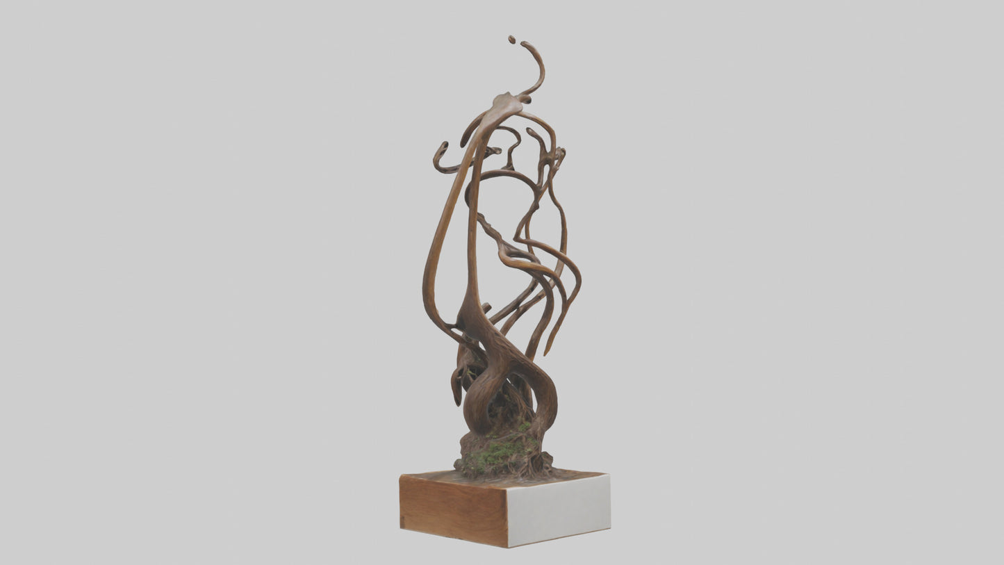 3D model Rooted Flow sculpture model VR / AR / low-poly