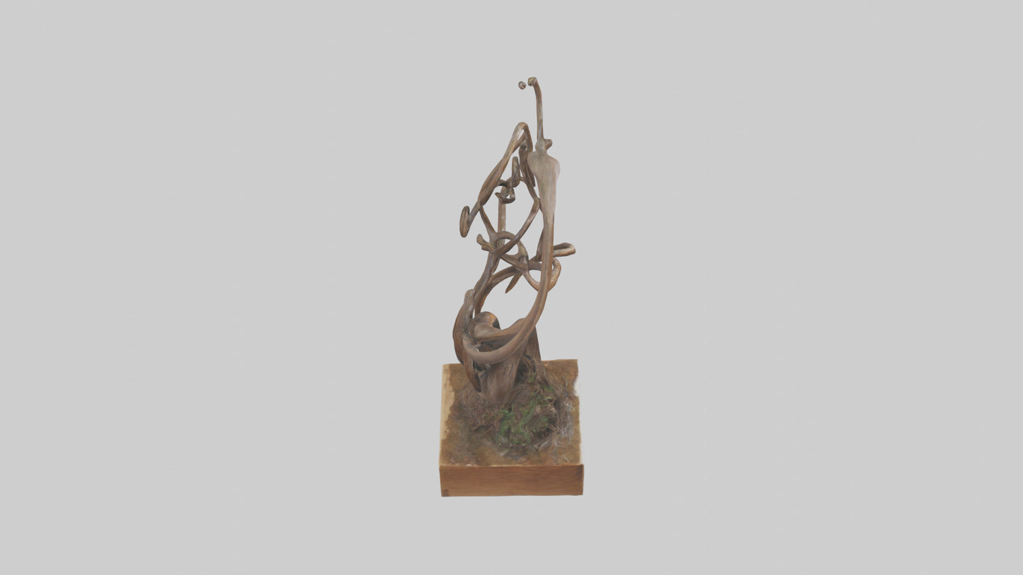 3D model Rooted Flow sculpture model VR / AR / low-poly