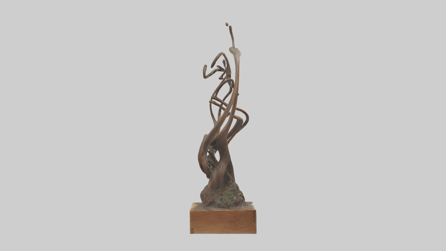 3D model Rooted Flow sculpture model VR / AR / low-poly