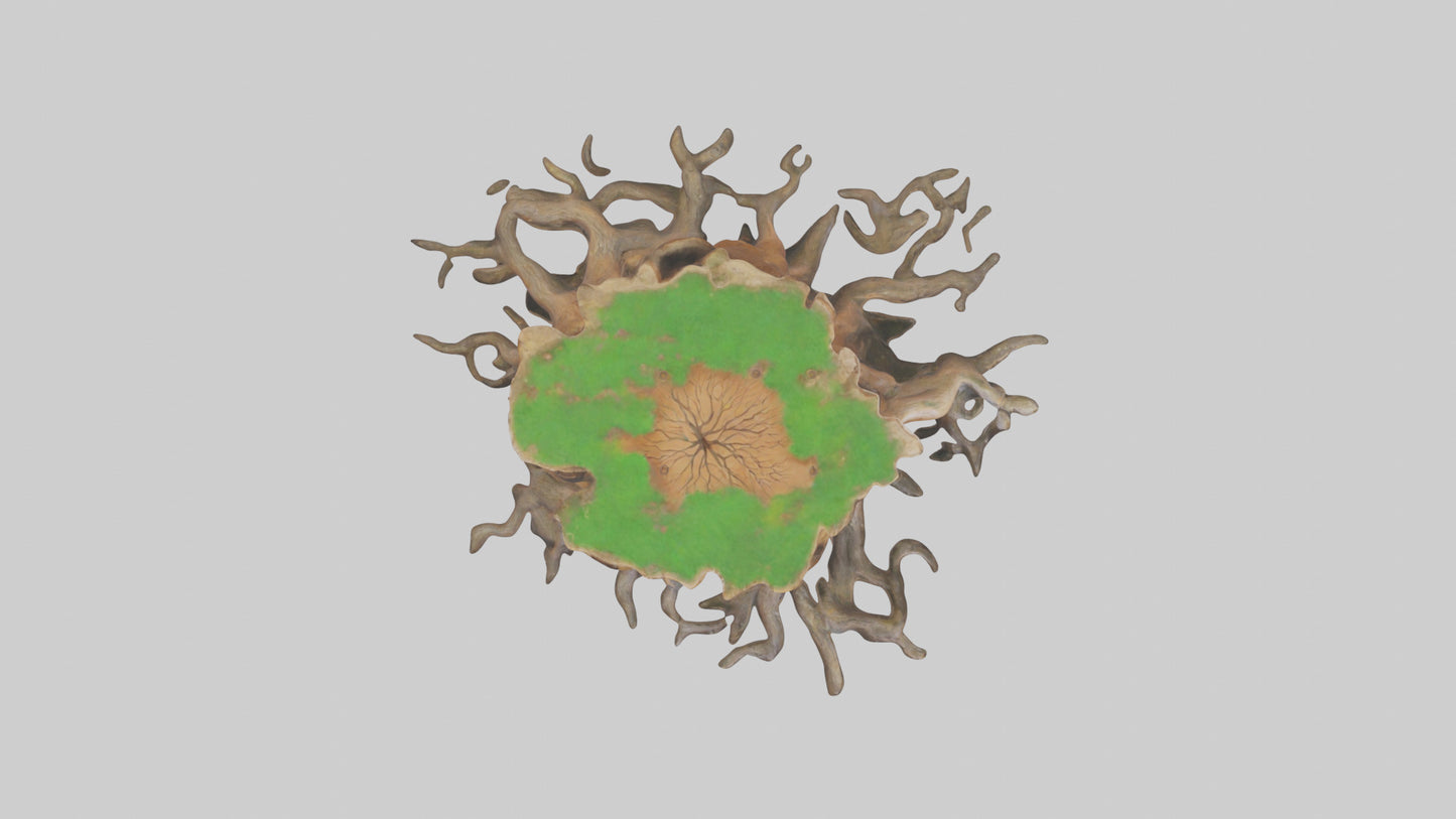 Rooted Tree Trunk Sculpture model 3D model