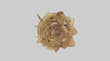 Rooting Flower Sculpture model VR / AR / low-poly