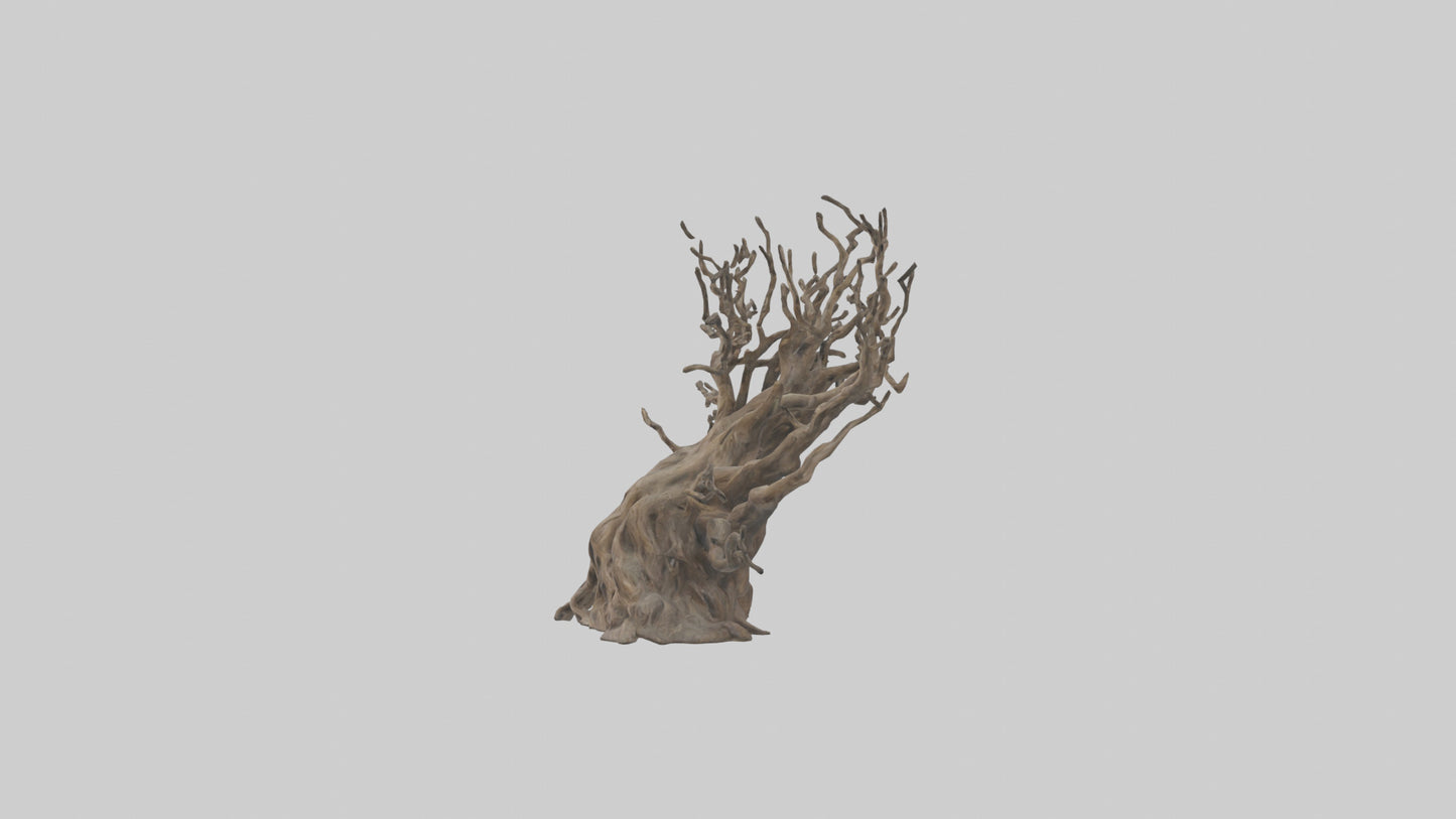 3D model Roots and Branches sculpture model VR / AR / low-poly