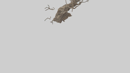 3D model Roots and Branches sculpture model VR / AR / low-poly